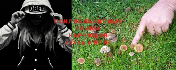эйфоретик Кулебаки
