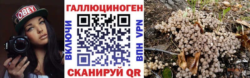 Псилоцибиновые грибы MAGIC MUSHROOMS  Купить  Белозерск 